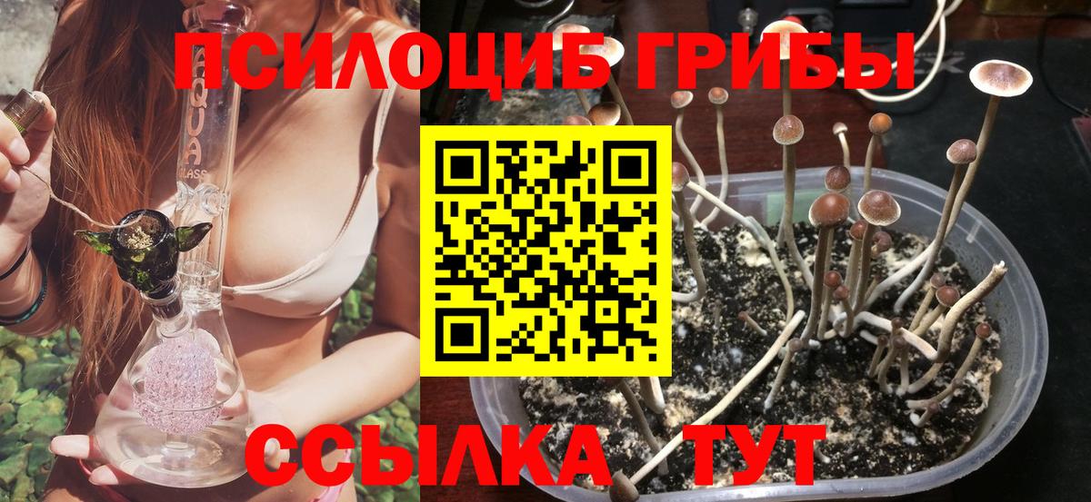 Псилоцибиновые грибы мицелий Алатырь